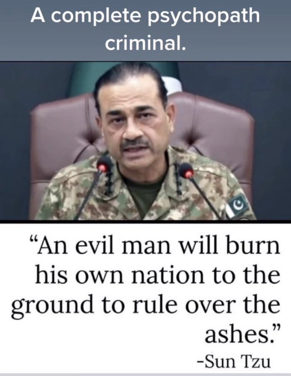 AliyaCideki tweet media