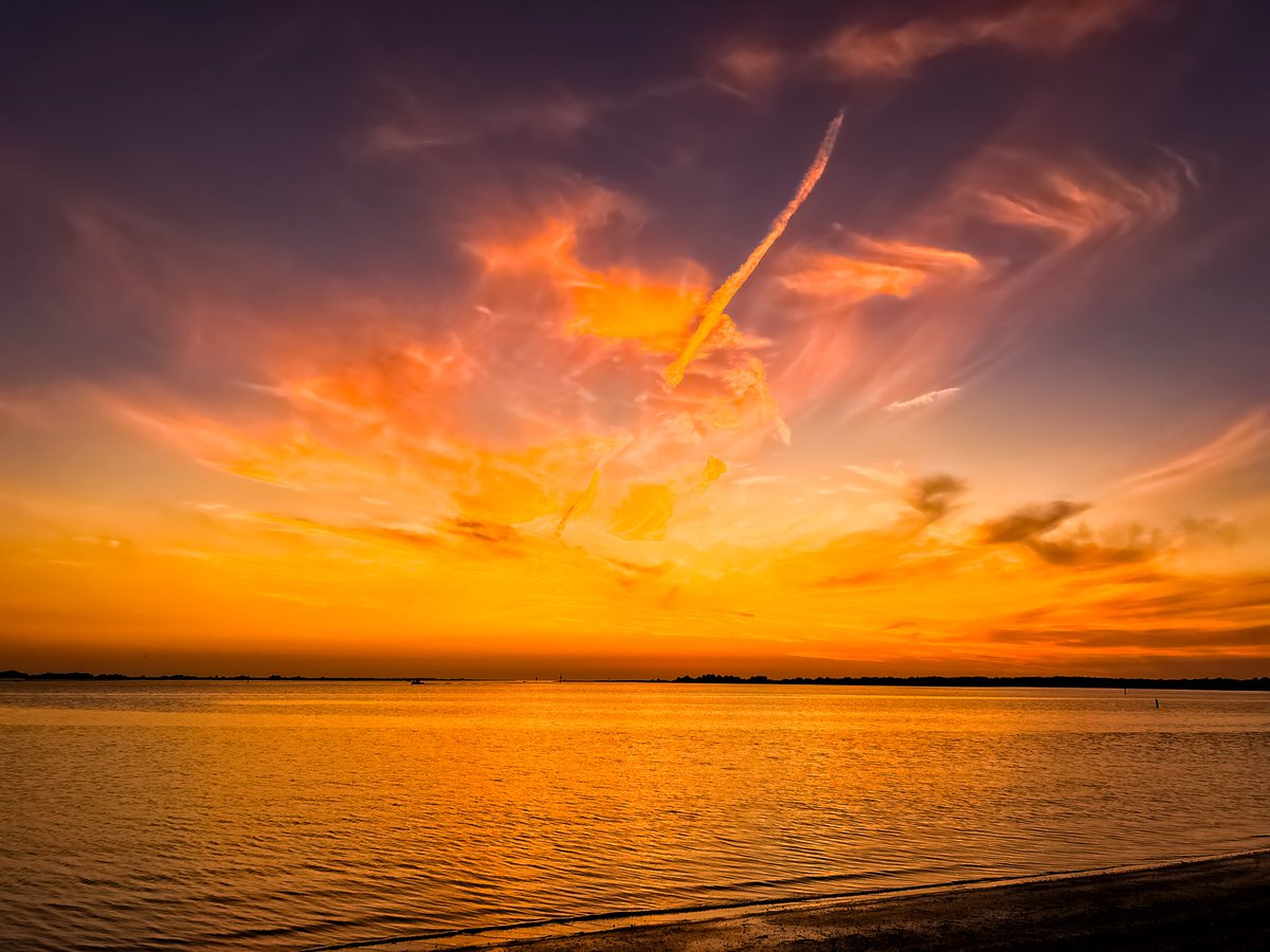 Floridian Creations tweet media