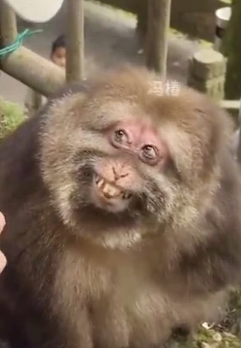 2geekerr's tweet image. Idk Wtf is happening but ts is fun.