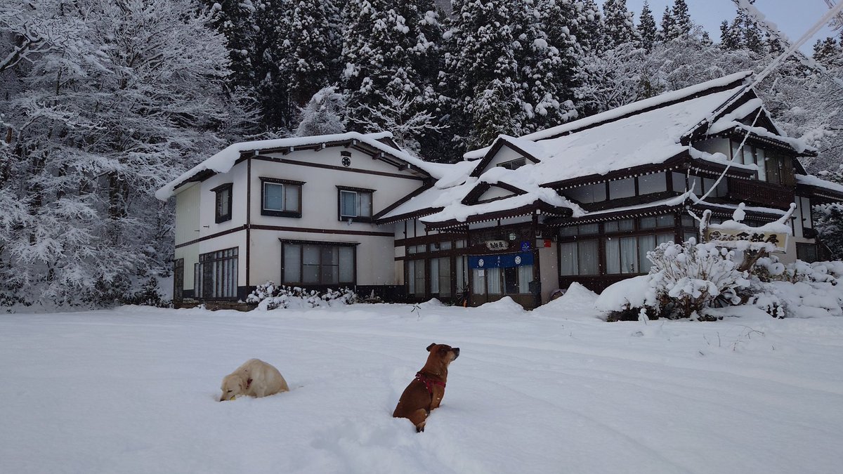 コレを残念に思う気持は分かりますが、古い建物や街並みの維持管理には莫大な金と労力が必要です。金を出し動かないと何も遺せません。そこを理解せず結果だけ批判するのは無責任です。
私は築百年の古民家宿を遺したくて宿を買取り移住しました。僅差でアジア系外国人より私の方が早かったそうです。