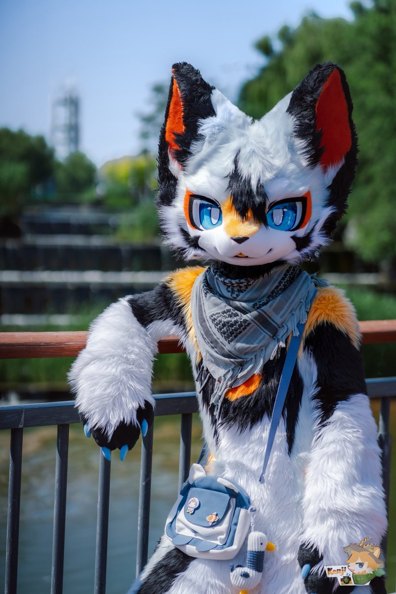 #FursuitFriday
简单摆一个
📷：<a href="/Kenji0629/">Kenji🌟</a>