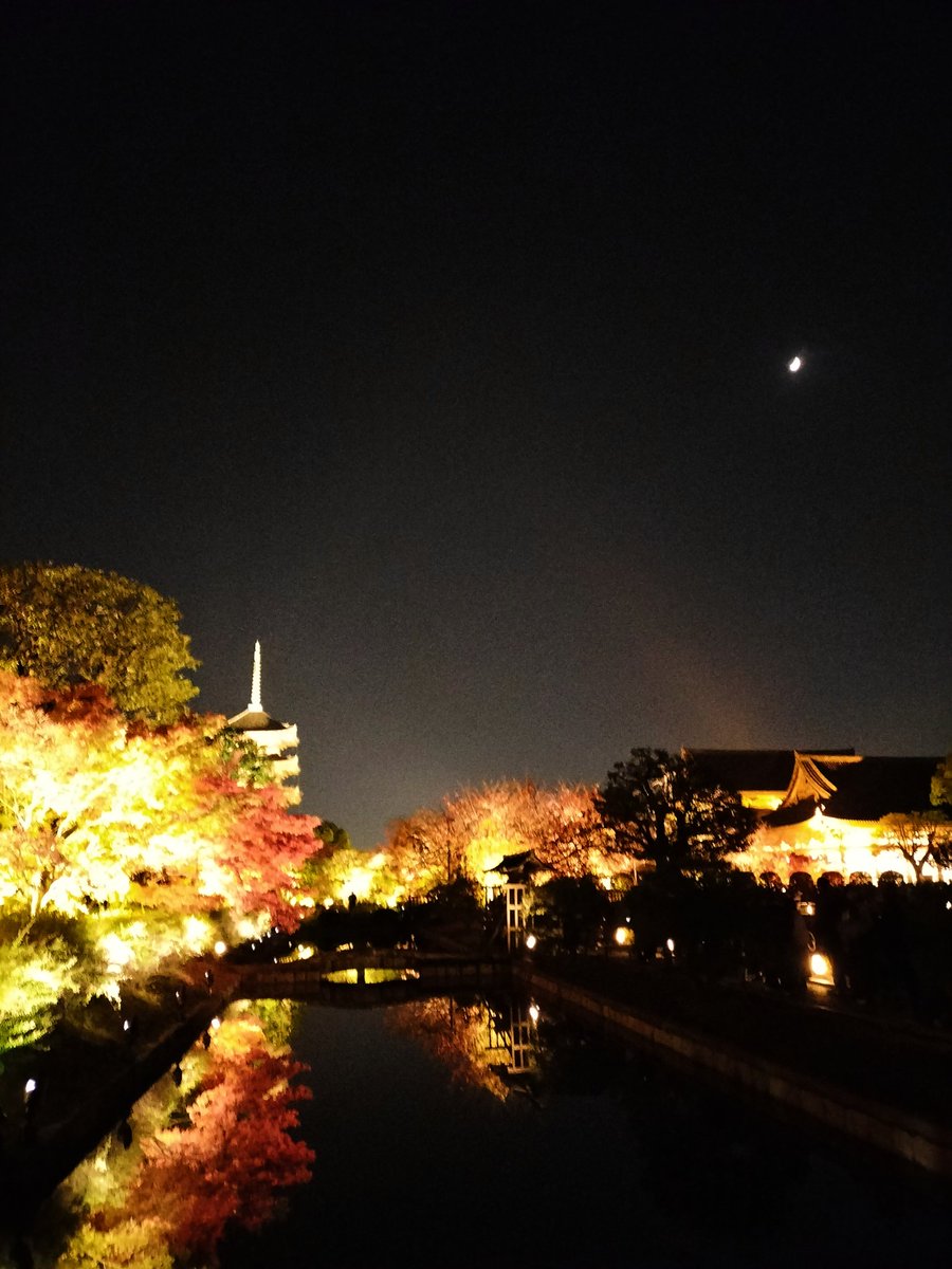 amami325's tweet photo. #東寺
#紅葉
#ライトアップ
#京都 https://t.co/882iV5r5Qz
