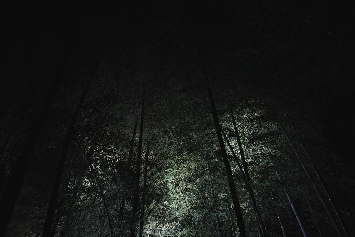 re: (@mrrr1110) on Twitter photo 