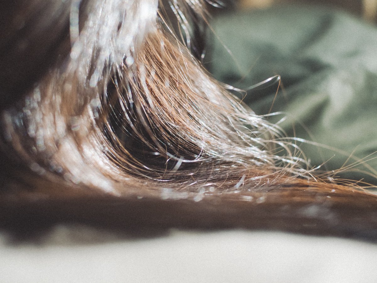 すず (@supho_to) on Twitter photo 