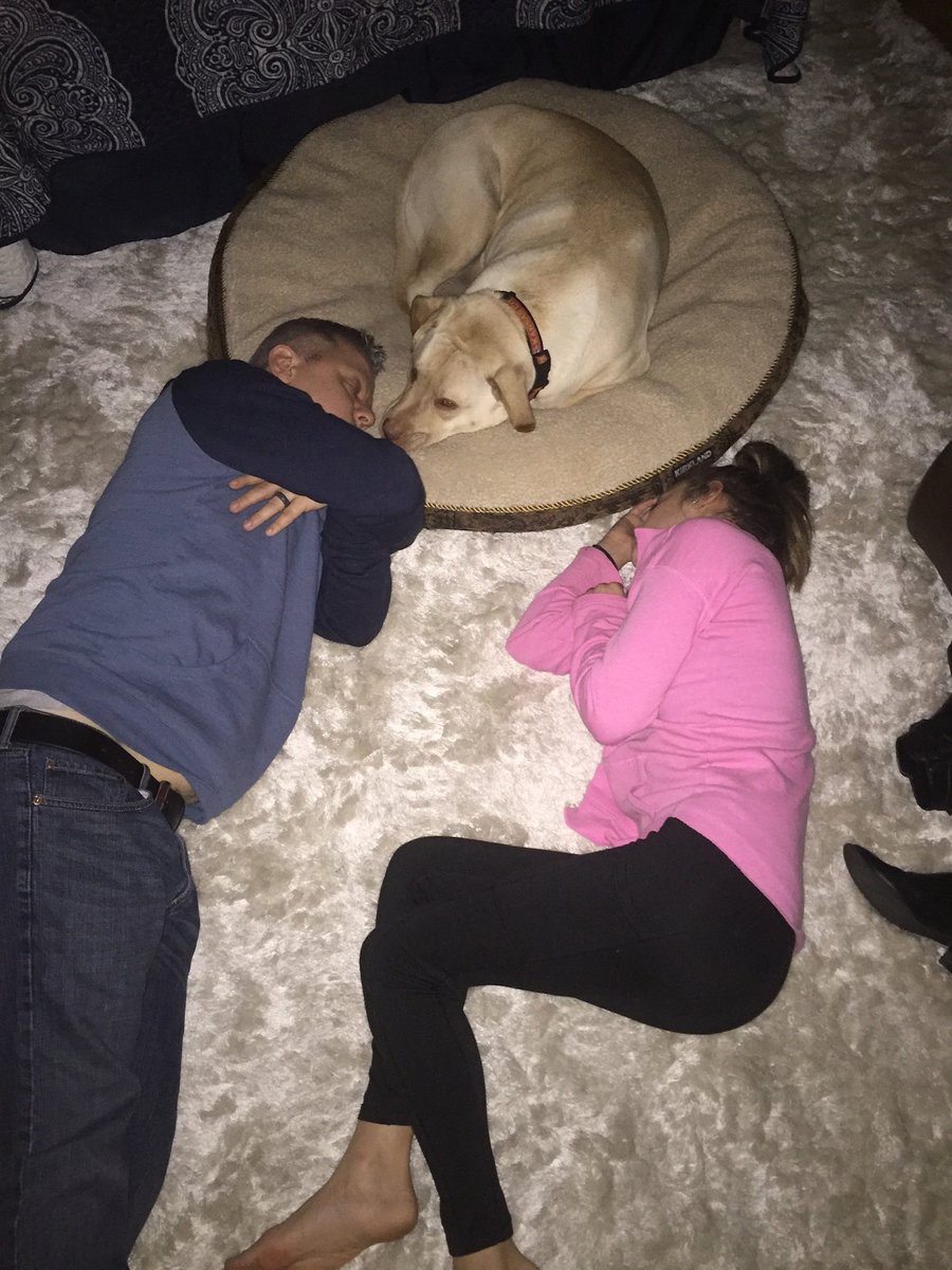 toddalator's tweet image. Today I  grateful for my dog, my best friend Henry. I lost Henry on Sept 4th of this year and I miss him everyday. But I’m grateful for 9 1/2 years of unconditional love and companionship.  He was my dude.