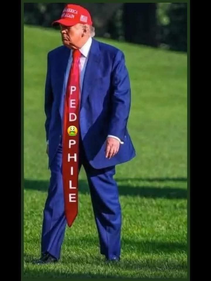 Pissed off American Voter💙💙💙🌊🌊🌊🌊 (@janetlei5) on Twitter photo 