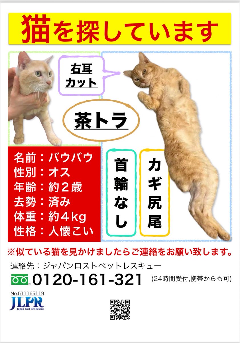 踏ん張り方を見習い中(茶トラ) 踏ん張り方を見習い中(茶トラ) ハイ