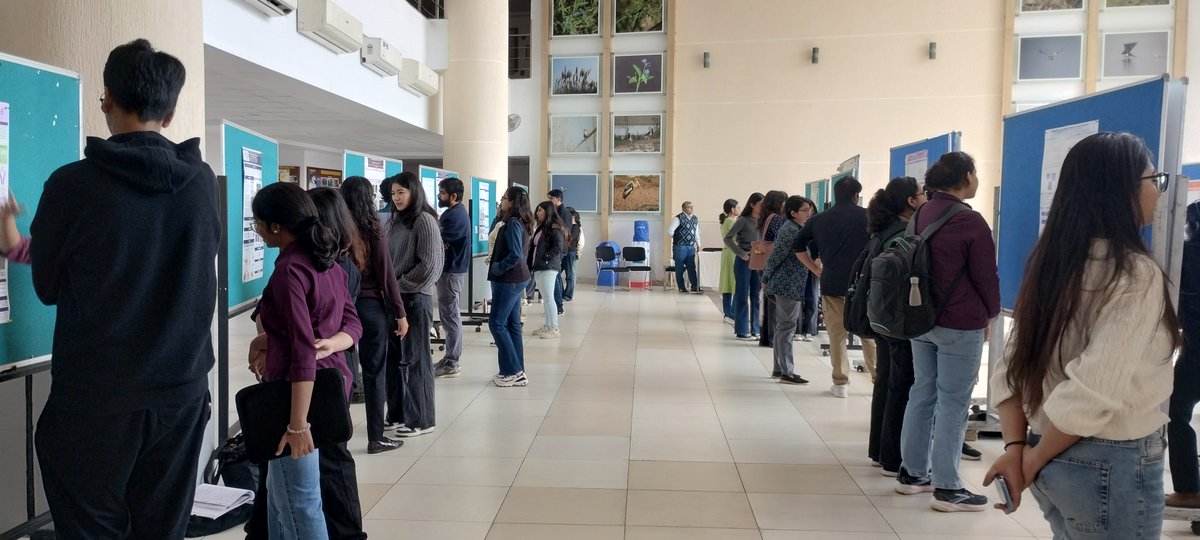 dls_snioe's tweet image. #PosterPresentations ✨
Our 4th-year undergraduate students presented their Project Dissertation posters today!
Celebrating science, learning and growth! 💡
More snapshots from a high energy day 👇
#UndergraduateResearch  #ScienceShowcase #StudentAchievements #ResearchJourney