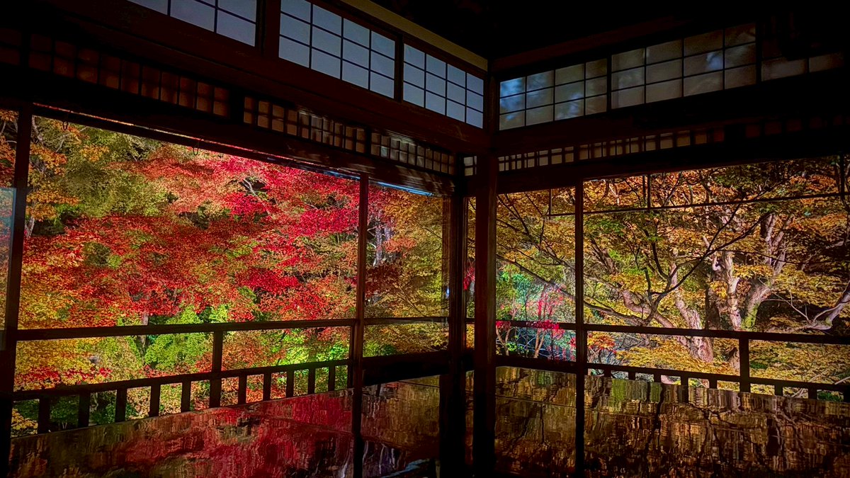 CnoD_pure's tweet photo. 京都は瑠璃光院に行ってきました。めちゃくちゃ綺麗なんですが、写真で見るだけでいいかも。 https://t.co/9uIaPeBl9L