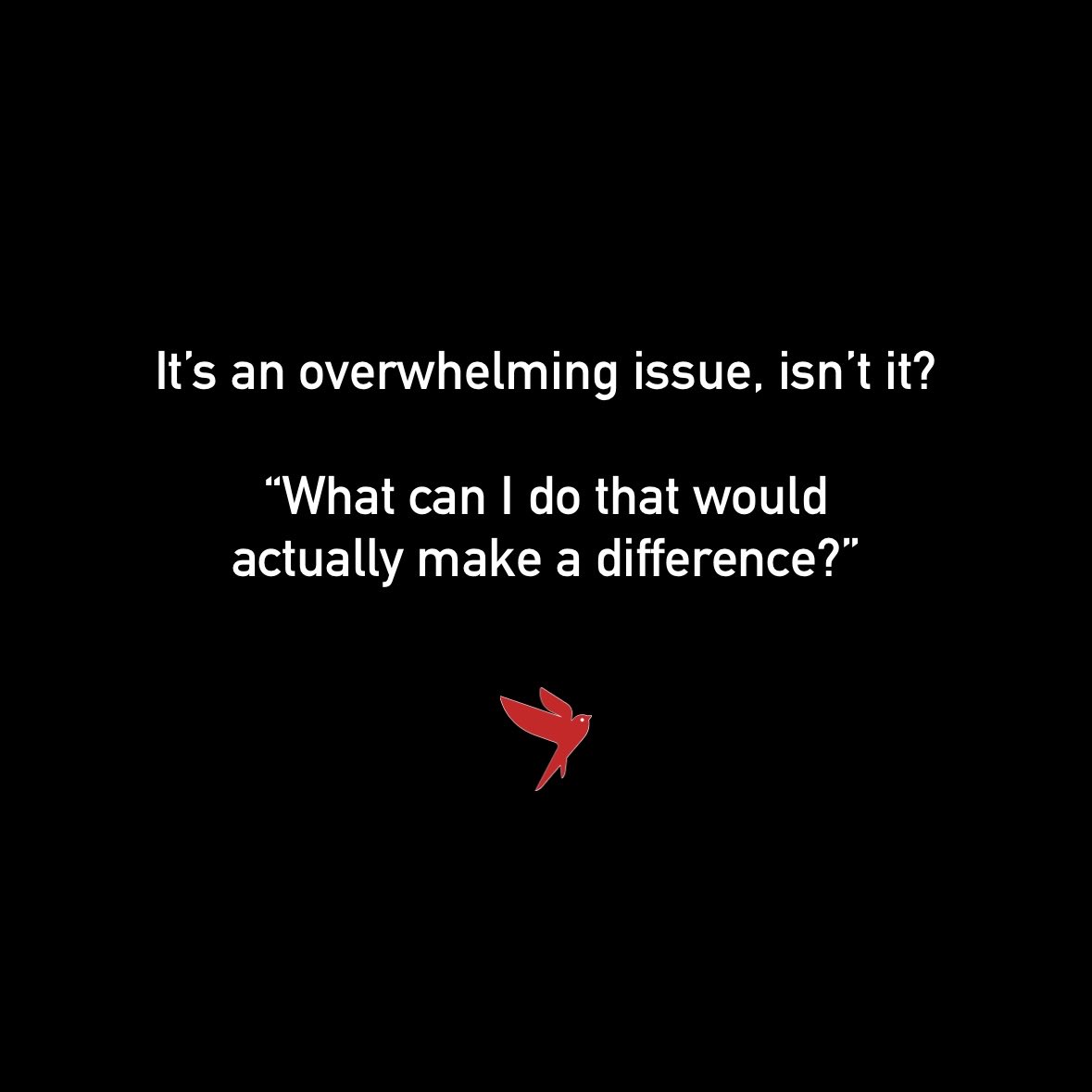 jason c dukes tweet media