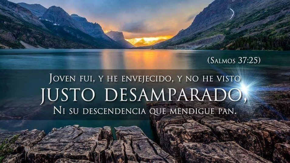 andland35's tweet image. Salmo 37:25 en la Biblia:

&quot;Joven fui, y he envejecido, Y no he visto justo desamparado, Ni su descendencia que mendigue pan.&quot;

Este pasaje es parte del Salmo 37, atribuido al rey David, y expresa una reflexión sobre la fidelidad de Dios hacia los justos. El salmista afirma que,…