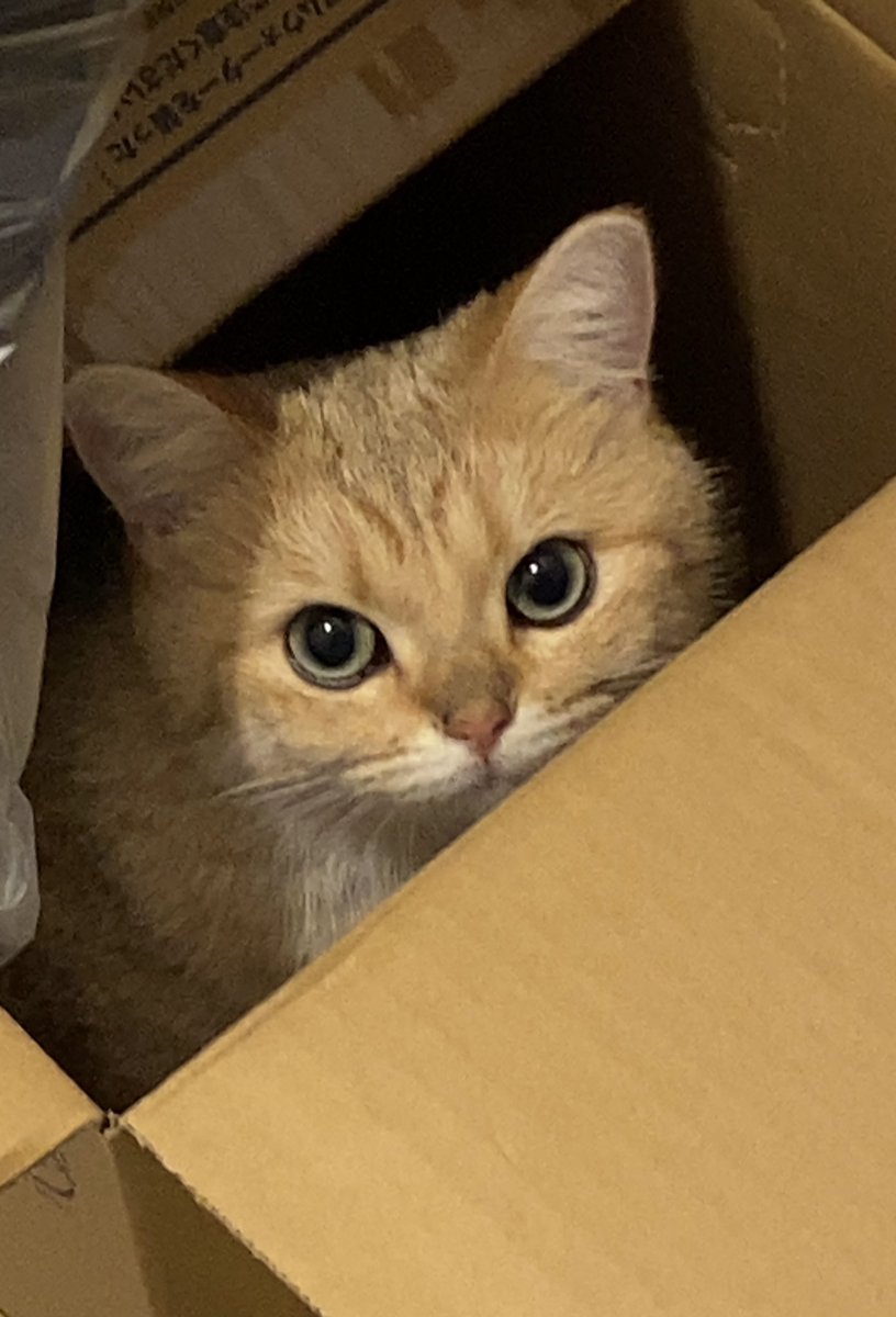 れれ😈sub (@Rere_Sb) / Posts / X