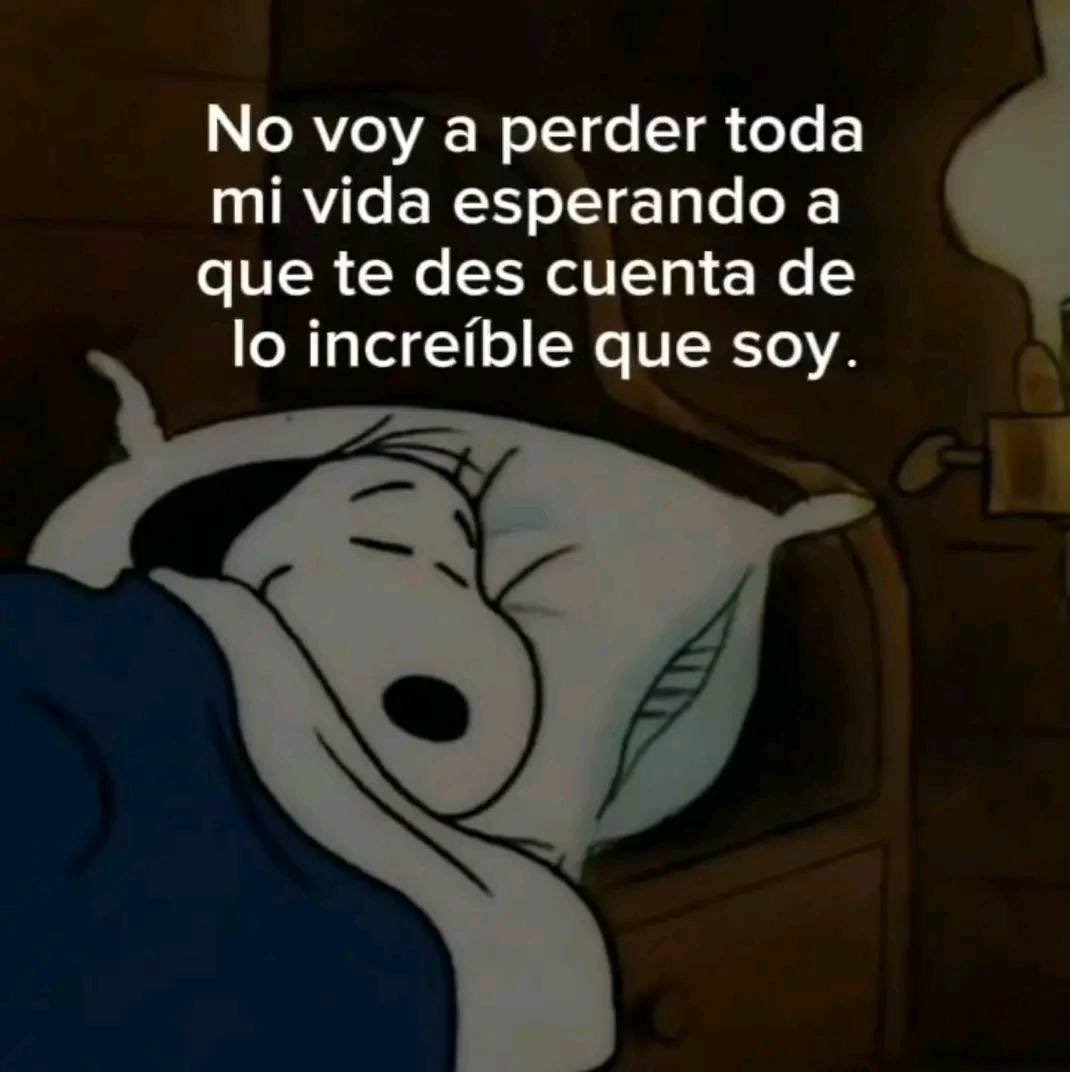 Bandidosfrases's tweet image. 