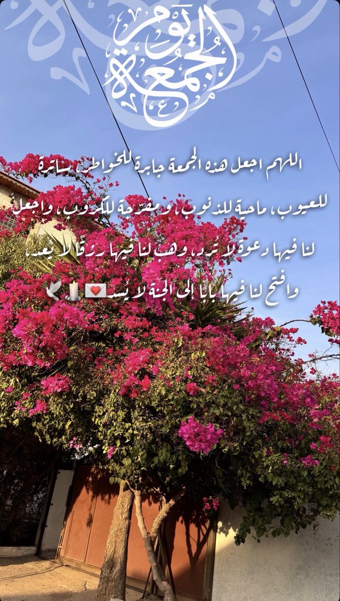 جمعتكم مباركة 🤍