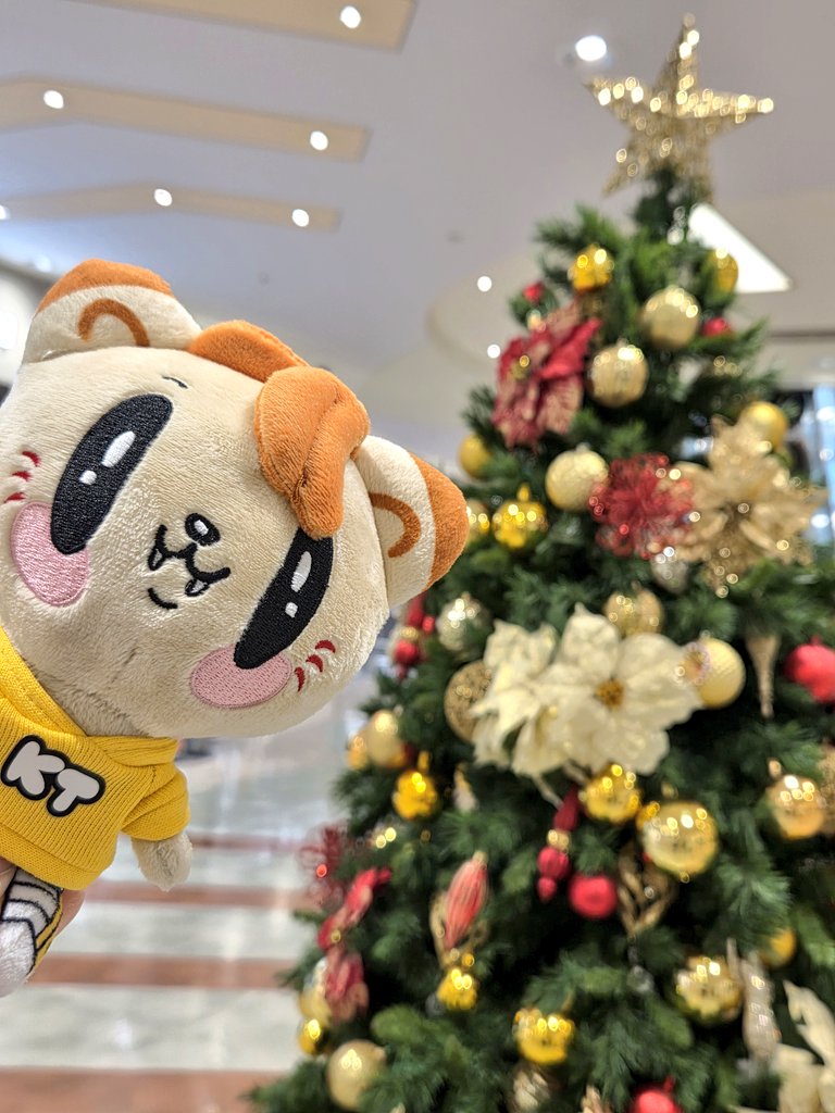 映画、 絶対、隼の(涙)と エバグリで泣く😭✨ ジェ猫