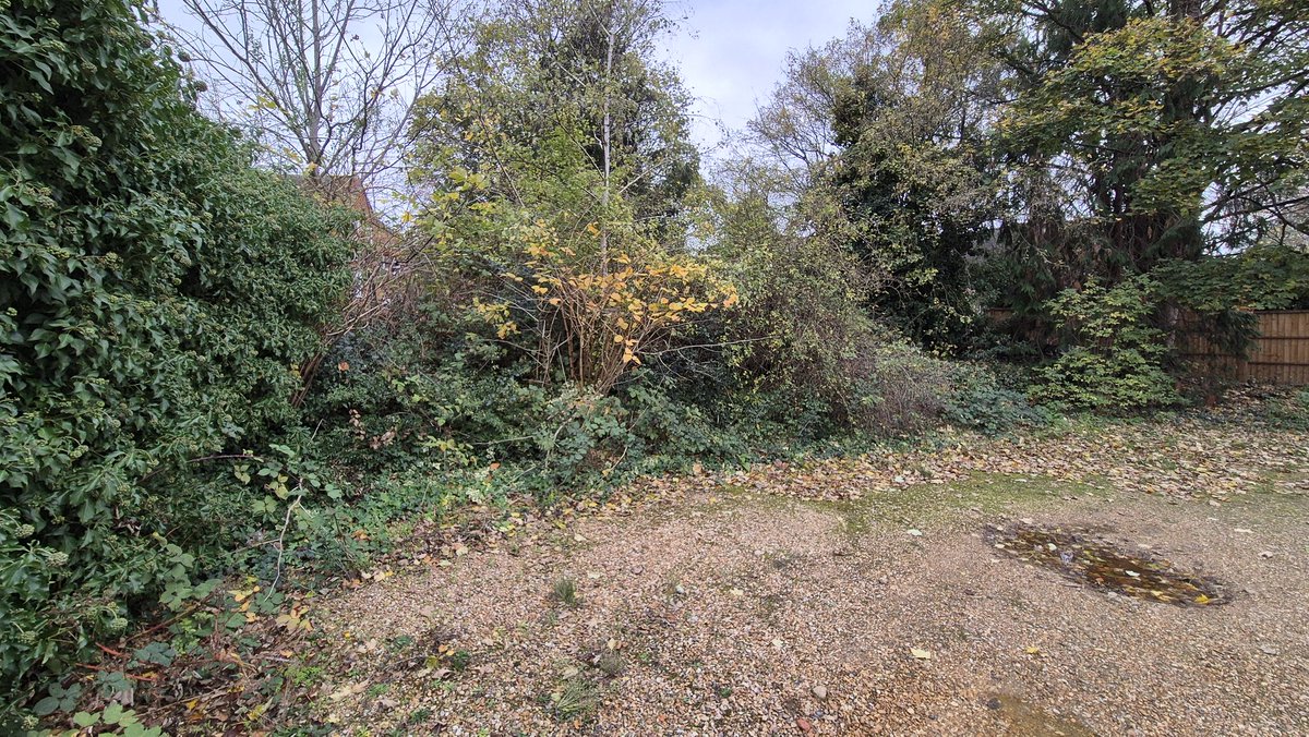 mgbed's tweet image. Bit of a before and after... still more to do, but over 10 years neglect being undone.  Love a transformation project