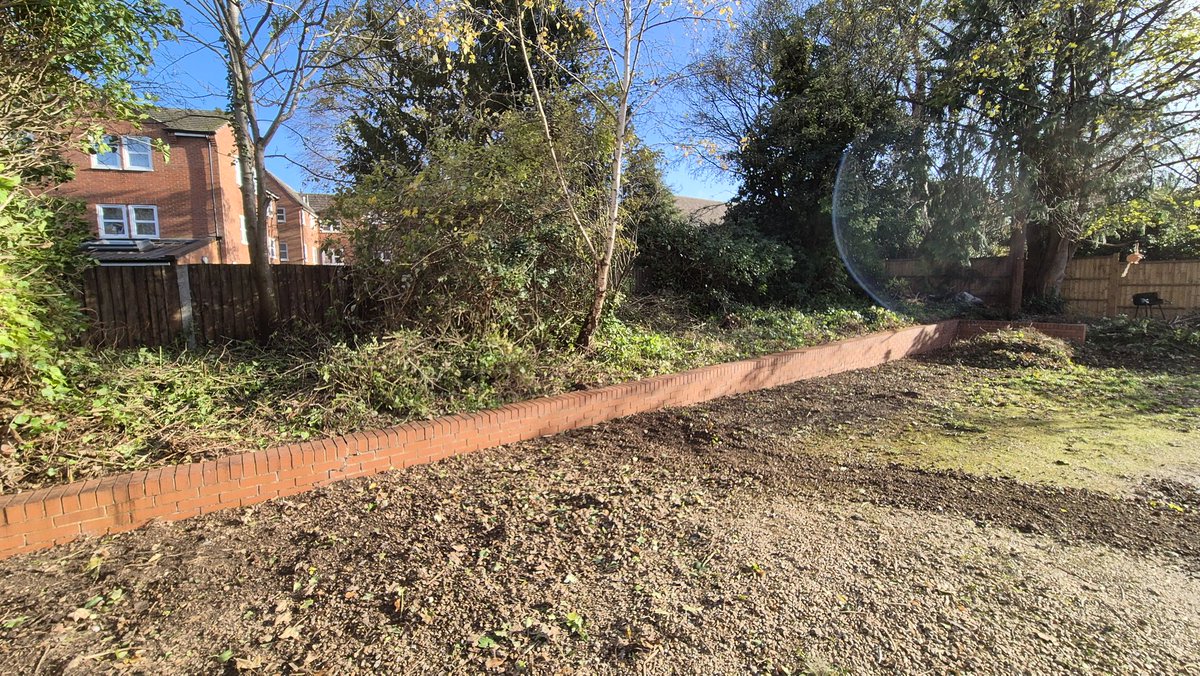 mgbed's tweet image. Bit of a before and after... still more to do, but over 10 years neglect being undone.  Love a transformation project