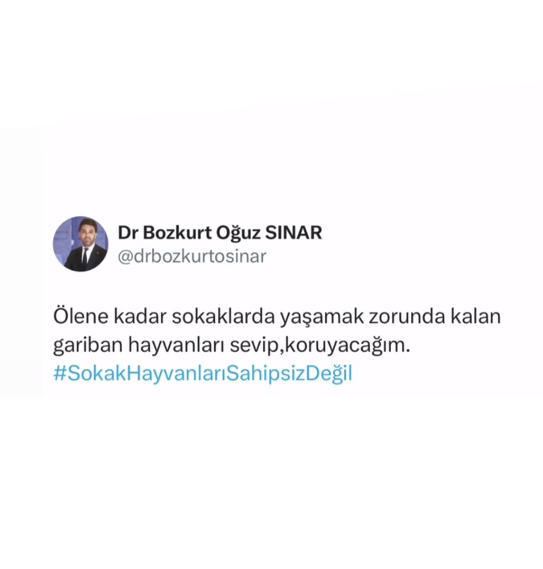 ve 
onlara zarar vermeye çalışanları gördüğümde acımasız olacağım !..

#hayırlıcumalar 
#xu100
#altın