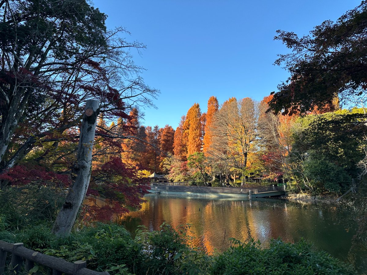 湯浅政明 tweet media