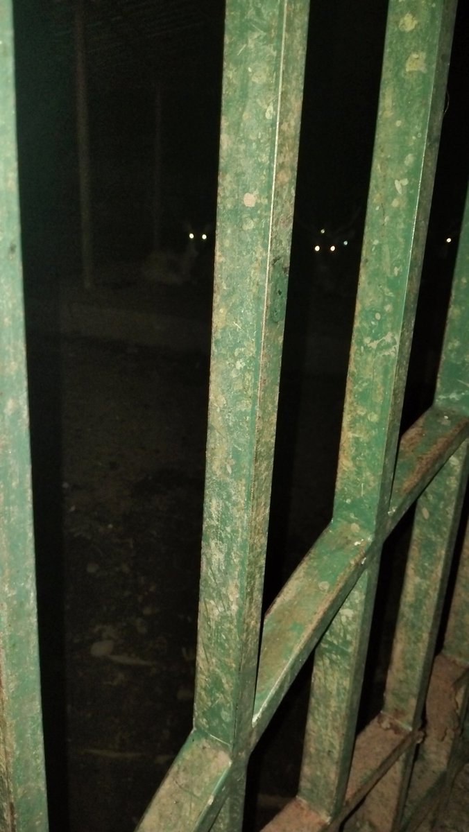 ardisketch's tweet image. Rusa not eepy🥺