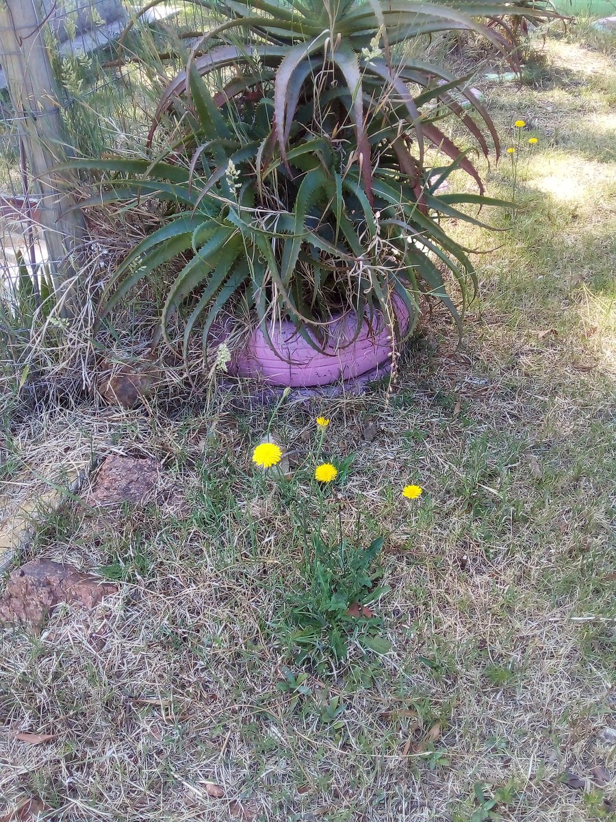 Buenos días. Que tengan un lindo día y buena jornada para todos✨