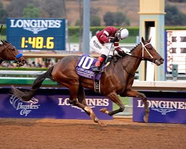 HORSERACING1002's tweet image. UNTAPABLE🇺🇸2011
(TAPIT ▪︎ FUN HOUSE BY PRIZED)
#Untapable
B/O Winchell thorougbreds (Ky) February 13, 2011
T/ Steven M. Asmussen 
20-9-5-2---$3,926,625
2014 Champion 🏆3yo Filly 🇺🇸
Breeder's Cup Distaff G1,  Kentucky Oaks G1, Cotillion S G1, Apple Blossom H G1, Fair Grounds