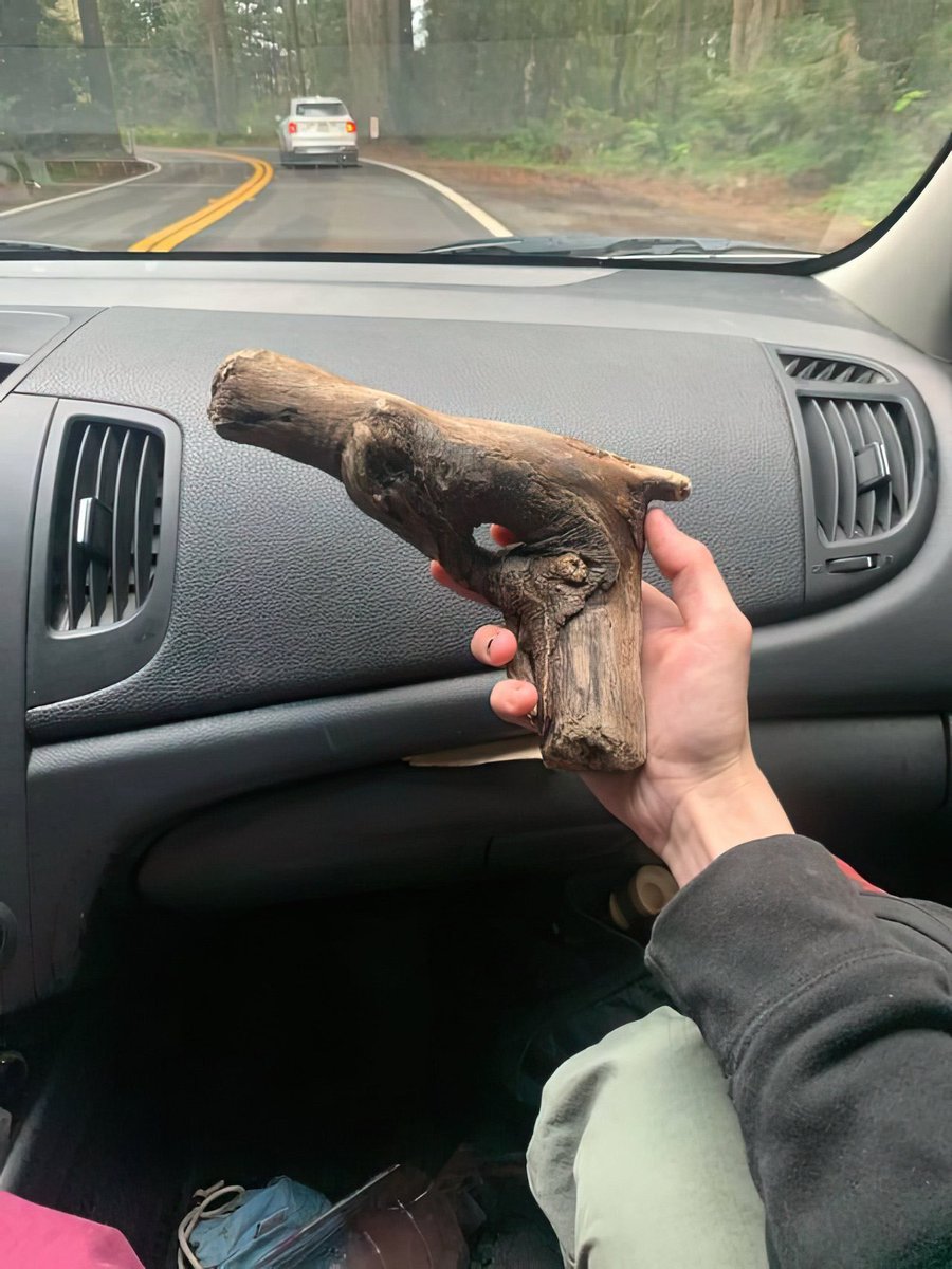 fairhurt's tweet image. The perfect stick doesn’t exi…