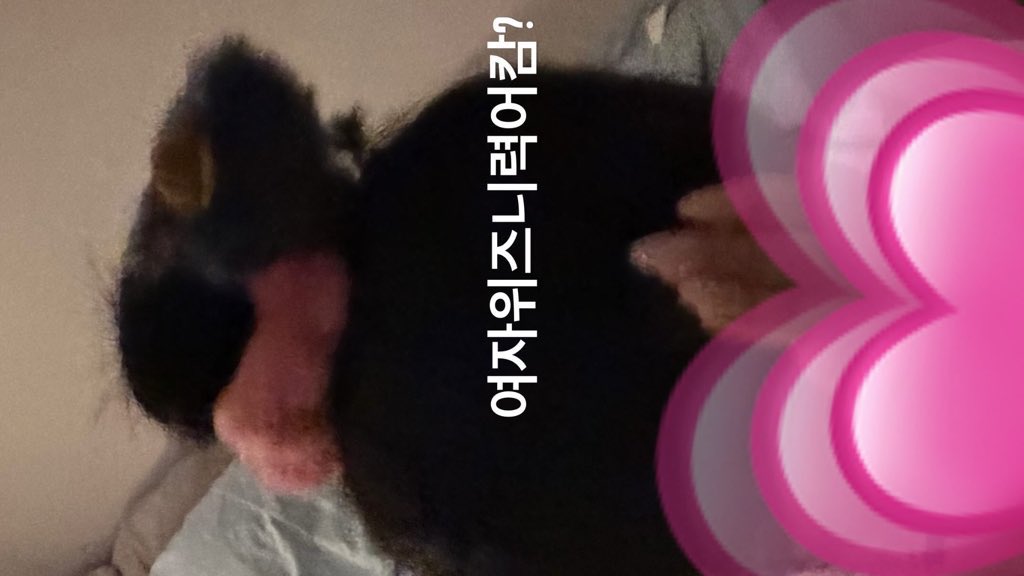 널 만나기 전부터 난 늘 심장이 두근대 난💕