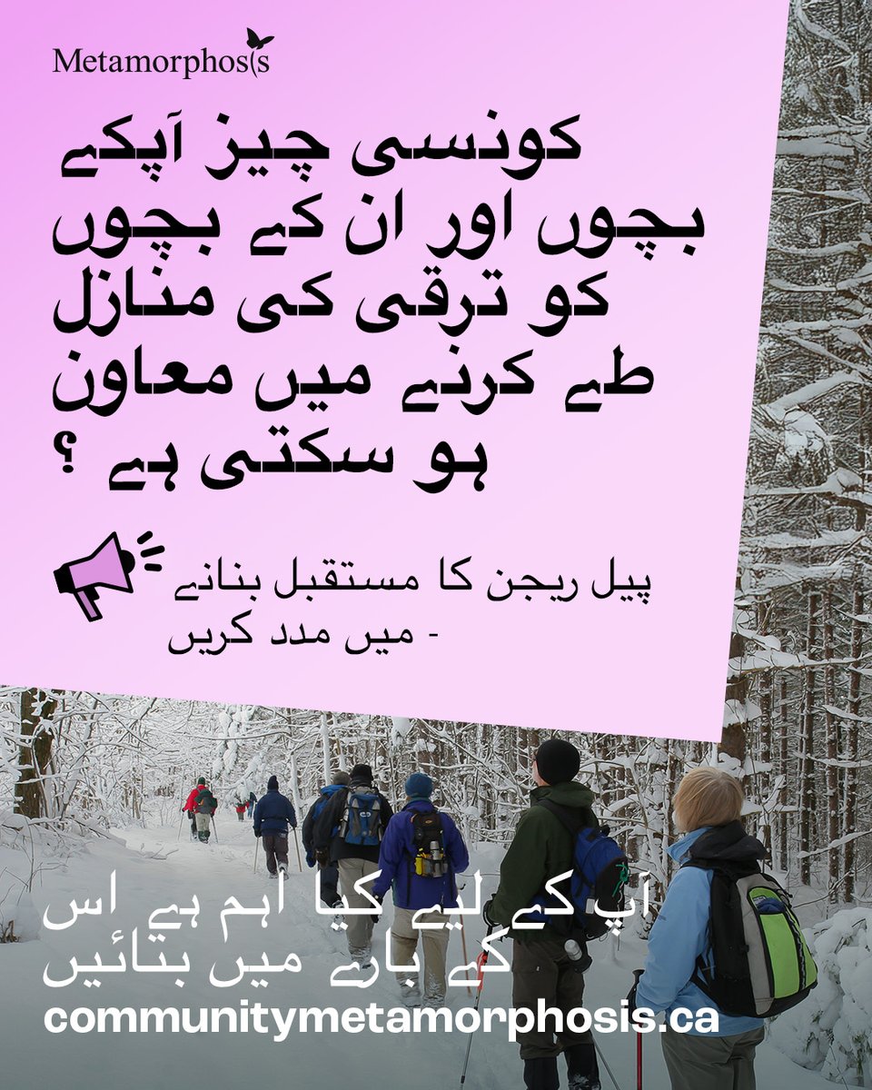 Metamorphosis Network tweet media