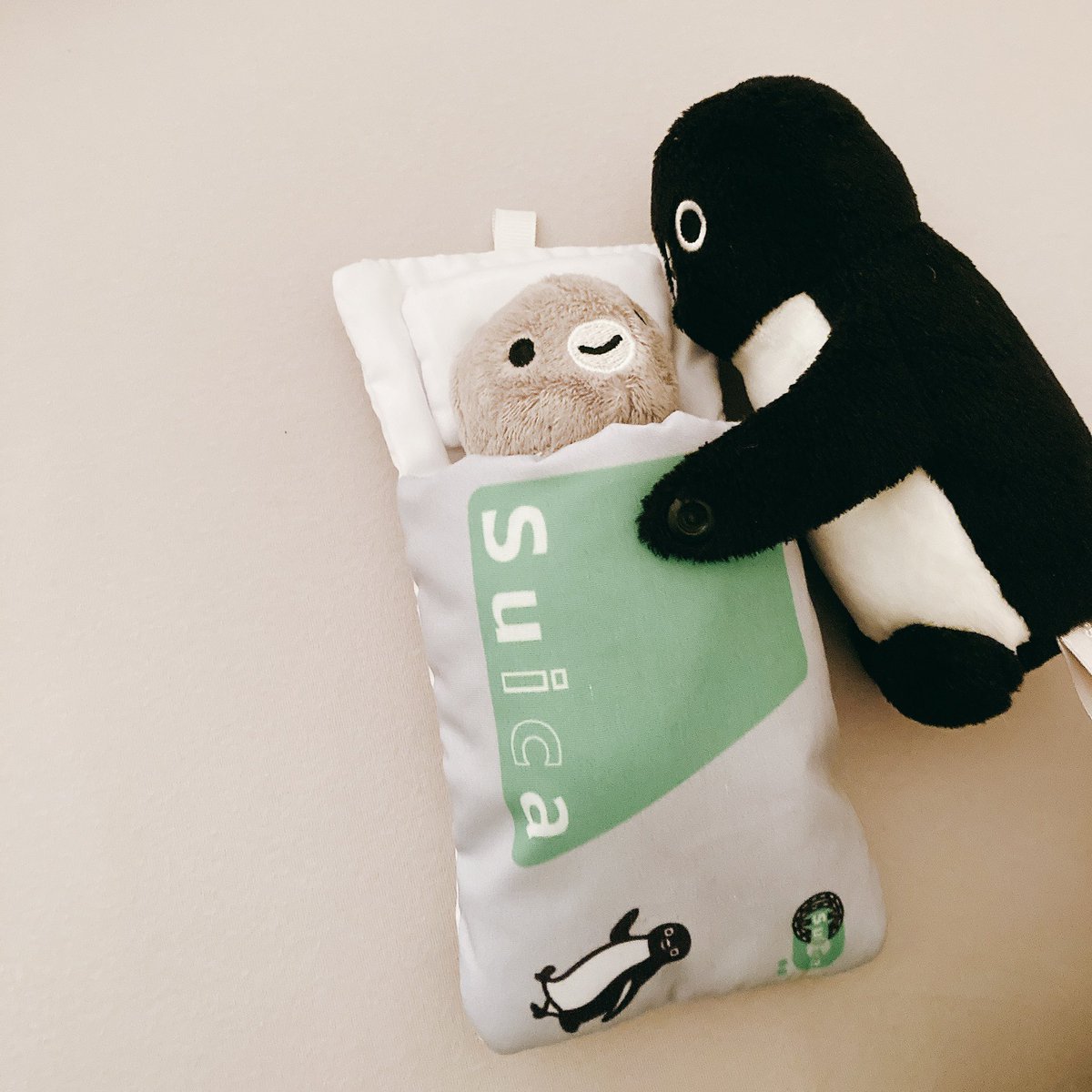 かいぬし、さいきんあたまがいたくてびょういんで"しーてぃー"とってもらったけど、わるいところなかったって！
あしたはおでぺんできるかな？
ゆっくりまったりねちゃおうね〜