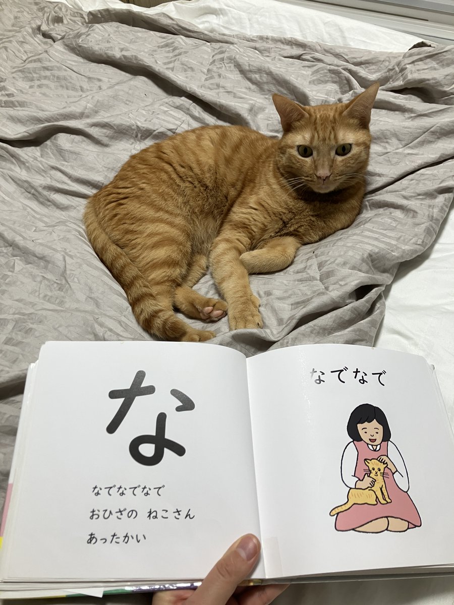 週休8日の猫吸い (@8VA64ArRkX7nOHE) / Posts / X