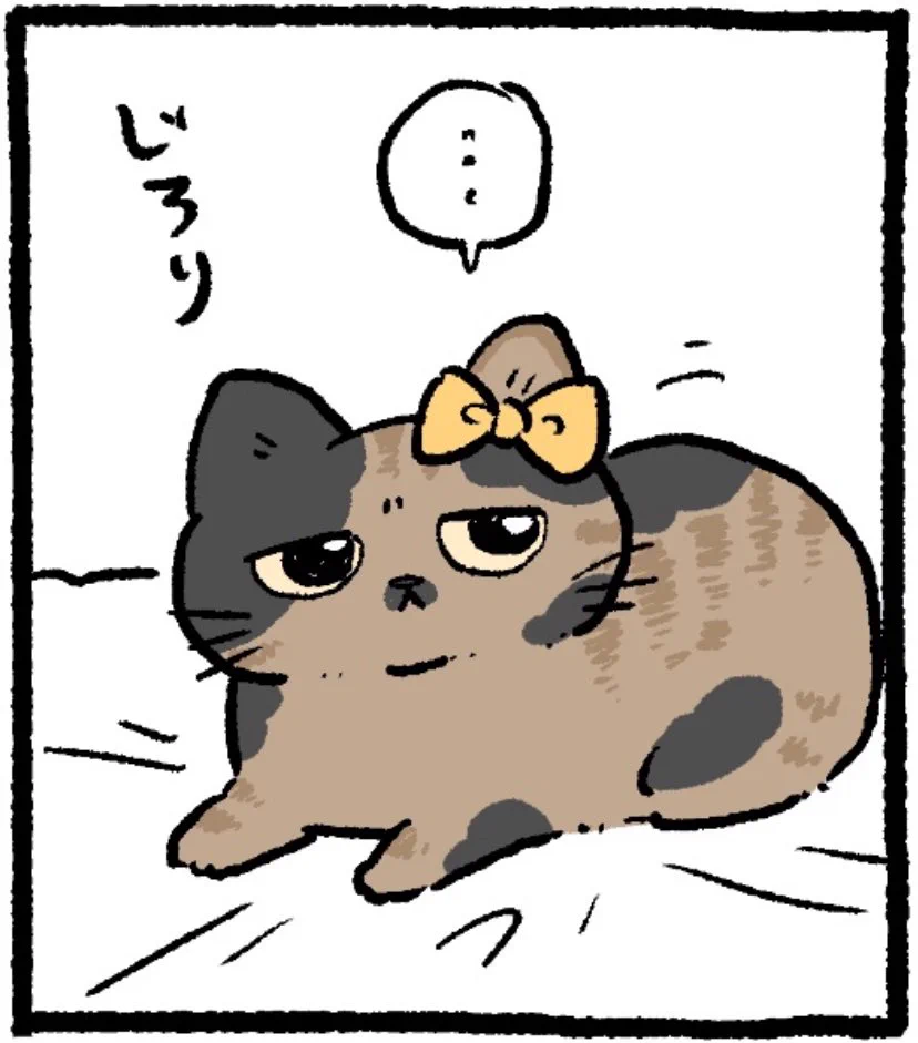 ねこおじ様 やじま@ねこおじ7・8巻発売中🐱 on X: 