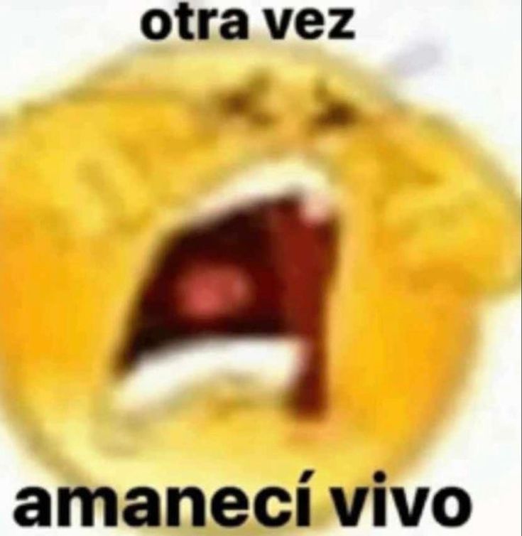 GMMM mis amores como están ???? como durmiéron ??