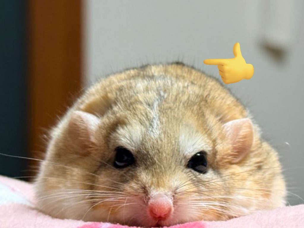 ハートしっぽ♡ねずみ ゆっこ🐭ねずみの雑貨屋CLOVER🍀 (@nezumi3illust) / Posts / X