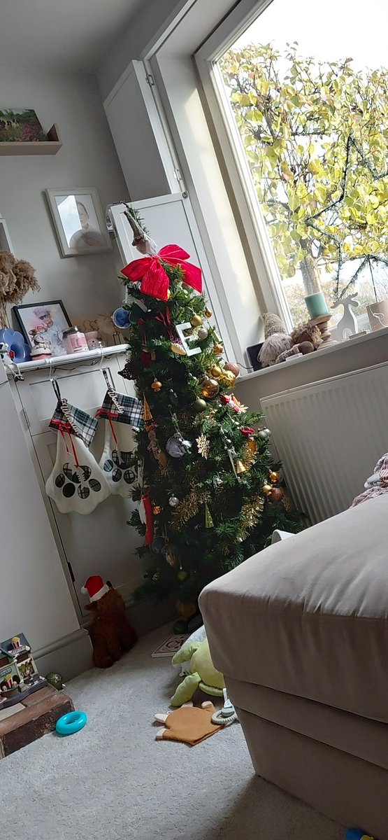 LeighPmanage's tweet photo. That's the tree up .. won't be long before the dogs knock it down 🤣 but hey ho 🏡 

#Christmas2025 #ChristmasModeOn #treeisup https://t.co/3bb8ZSb2O4