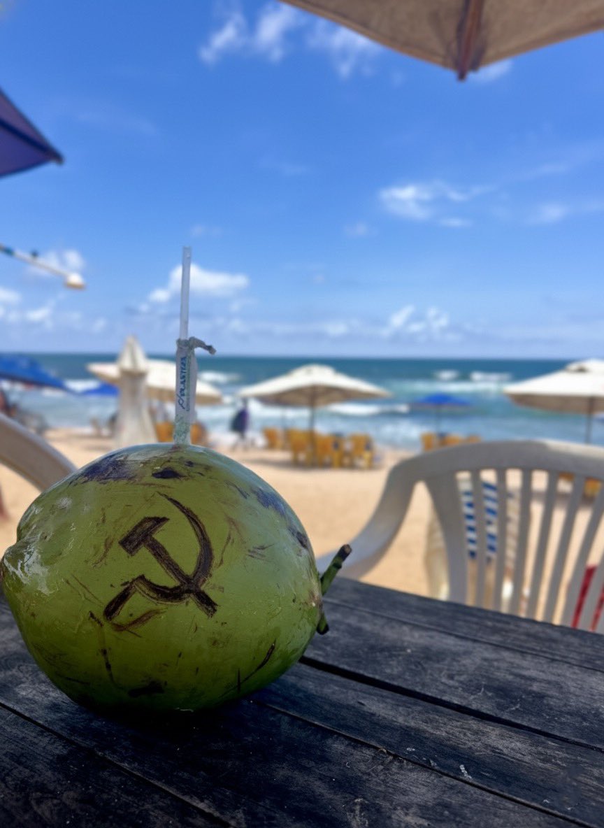 O_Papo_'s tweet image. Preciso de um socialismo com características nordestinas