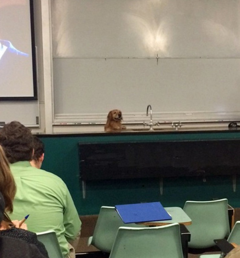 Hoje a aula será de latim kkkkkkk