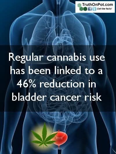 Norstackk's tweet image. :&amp;gt;}_~#WakeNBake #StonerFam #StonerCircle #StonerNation #IAmCannabis #WeAreCannabis #FuckCancer #StayWoke &amp;amp; ALL #STONERS ~HappyFrHighDazed~HAGD/Weekend~