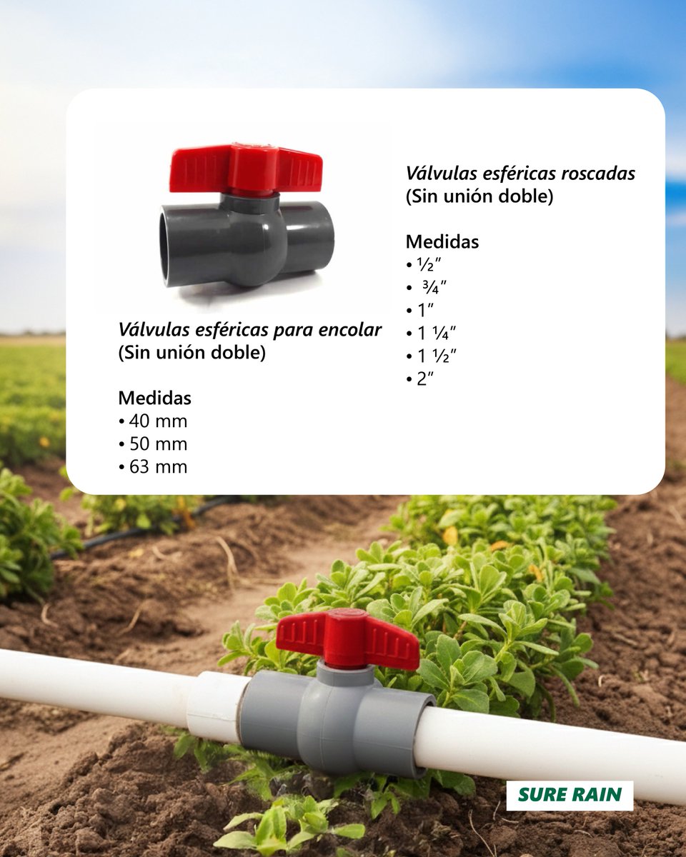 SureRain's tweet image. ⚙️ 💧 Válvulas Esféricas Plásticas

Una solución confiable para el control de paso en sistemas de agua y riego.

🔹 Fabricadas en material resistente y pensadas para instalaciones de uso profesional, garantizan un accionamiento seguro y uniforme.