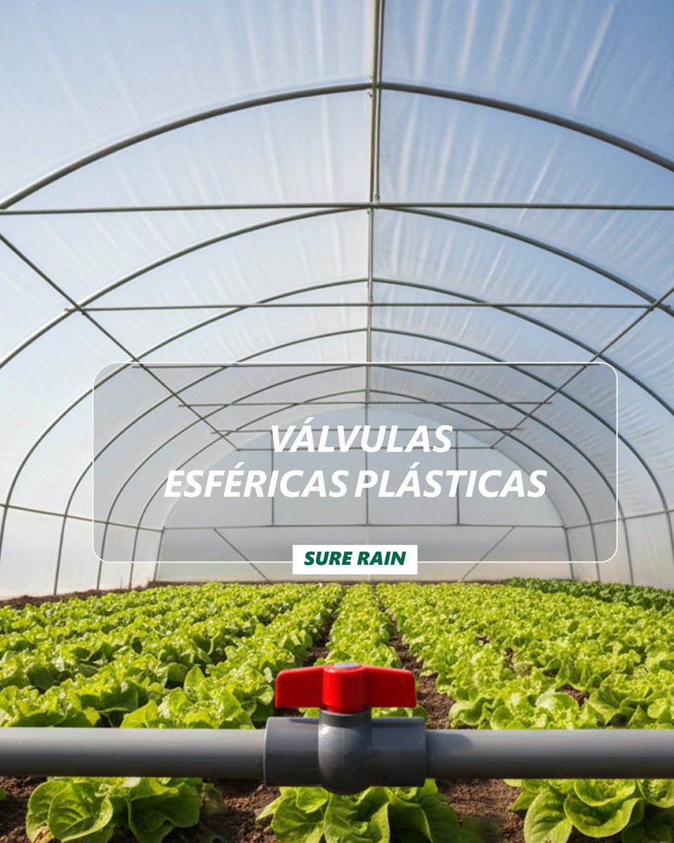 SureRain's tweet image. ⚙️ 💧 Válvulas Esféricas Plásticas

Una solución confiable para el control de paso en sistemas de agua y riego.

🔹 Fabricadas en material resistente y pensadas para instalaciones de uso profesional, garantizan un accionamiento seguro y uniforme.