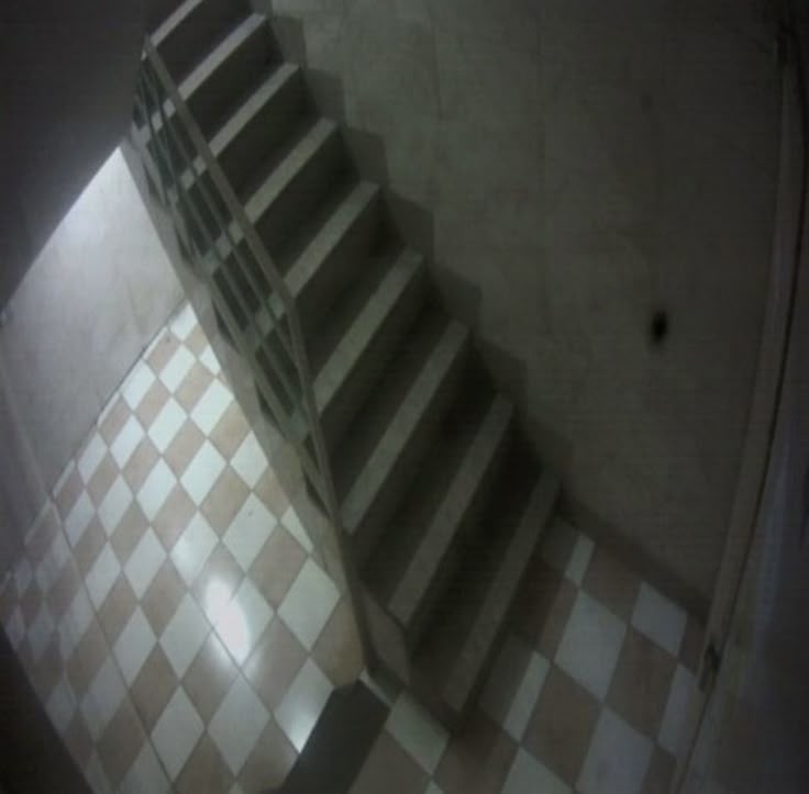 gOPwbi7qqtWeD9o's tweet image. 