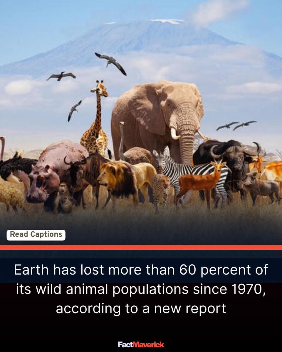 Norstackk's tweet image. :&amp;gt;}_~#StayWoke~~°°°