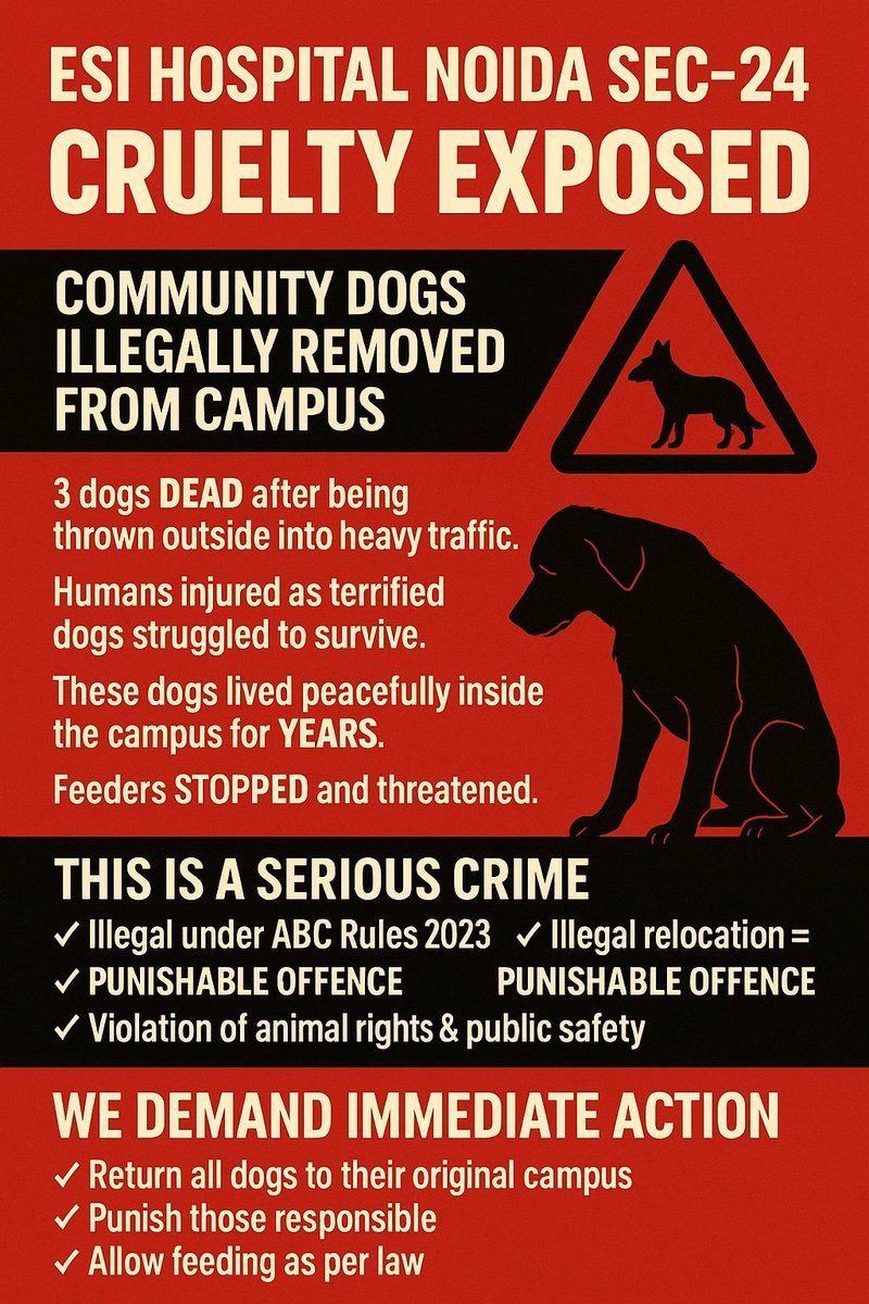 sanjay_daddy's tweet image. ESI HOSPITAL NOIDA SEC-24 — CRUELTY EXPOSED

Community dogs were illegally removed from the hospital campus.
➡️ 3 dogs DEAD after being thrown on heavy-traffic roads
➡️ Humans injured as terrified dogs panicked
➡️ Feeders stopped &amp;amp; threatened
➡️ Done without a Nodal Officer,…