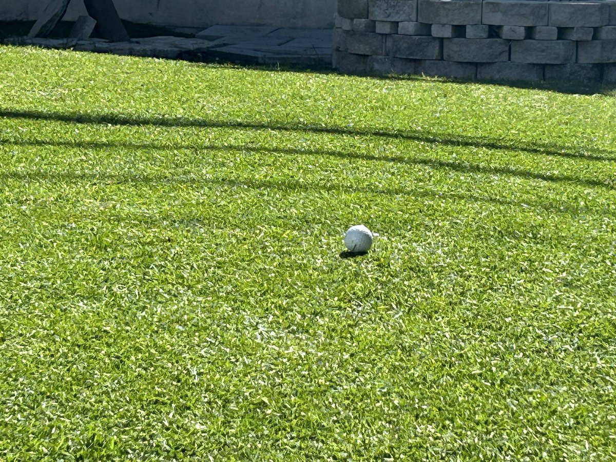 JaredVCaretti's tweet image. The back yard putting is coming along. I pulled the back roller off. That is the bed knife resting on the grass😂 time for a new mower.