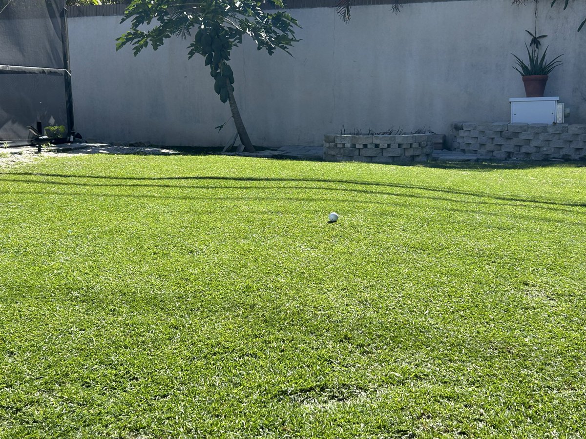 JaredVCaretti's tweet image. The back yard putting is coming along. I pulled the back roller off. That is the bed knife resting on the grass😂 time for a new mower.