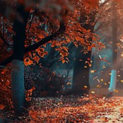 abomaness's tweet photo. #صورة_جديدة_للملف_الشخصي https://t.co/0Jv3BZC2Zt
