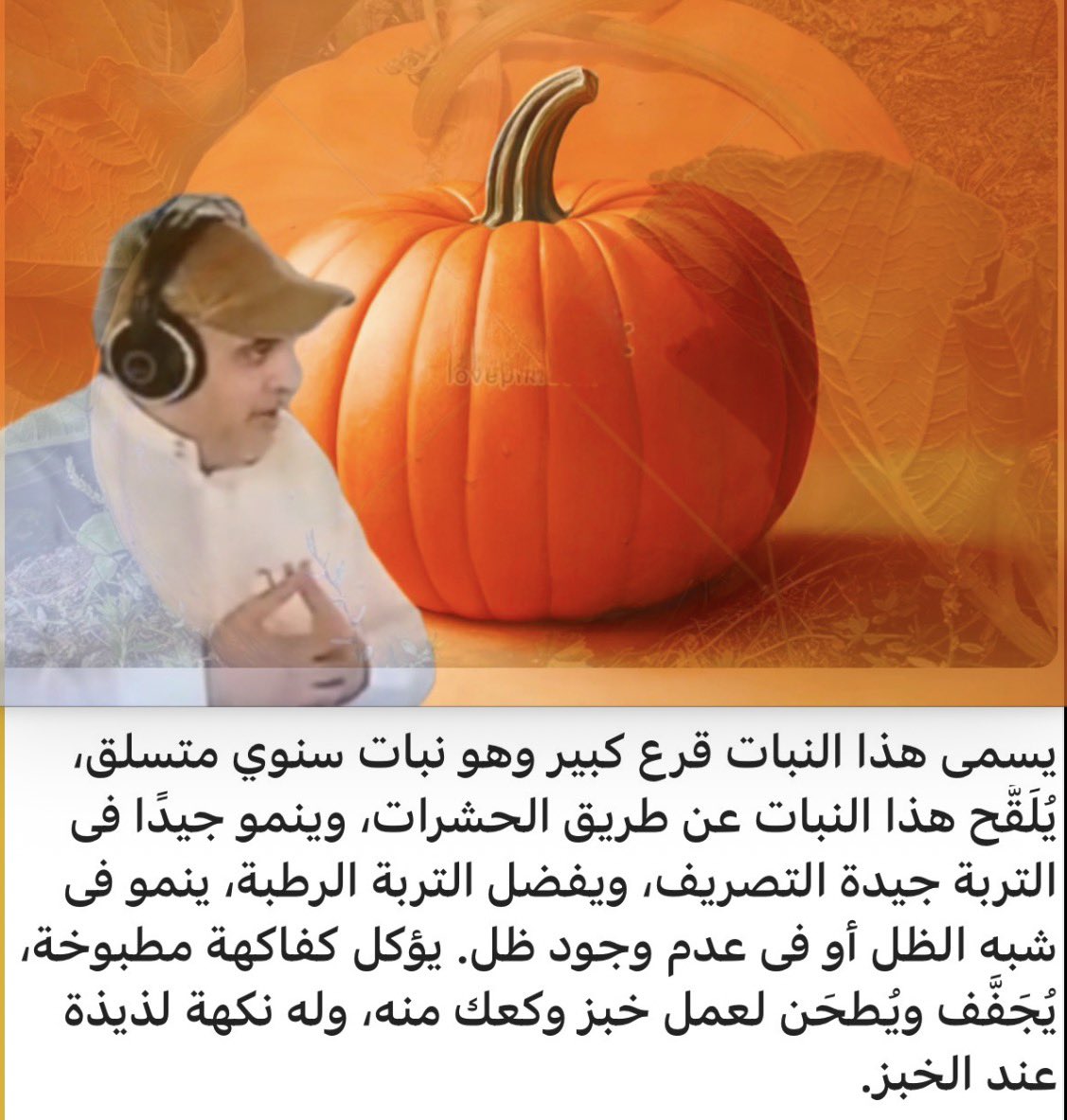 فوائد  و  نصائح !!