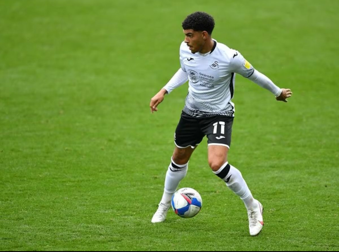 ach442662's tweet photo. Just thinking about how Swansea City had Morgan Gibbs-White, Victor Gyokores, Marc Guehi and Andre Ayew in the same season and didn’t go up. https://t.co/Wxy7YKNB4p