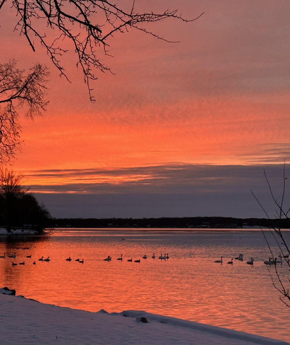 Darrell Olson tweet media