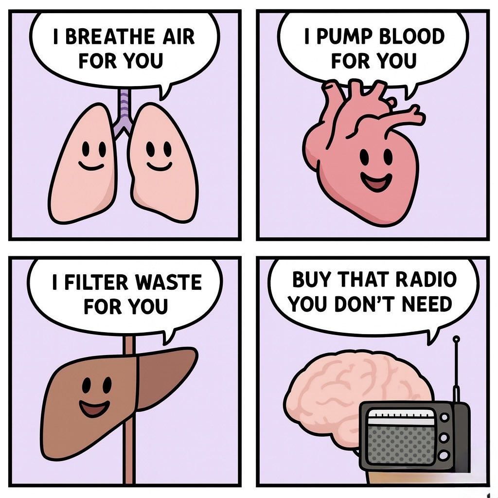 HarmlessHAM (@harmlesshamcq) on Twitter photo 